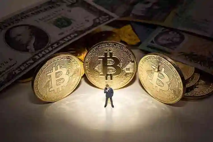 Cryptocurrency mining farm with hosted ASIC miners humming efficiently
