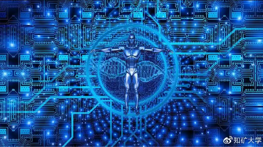 A large-scale mining farm showcasing the power of collective mining