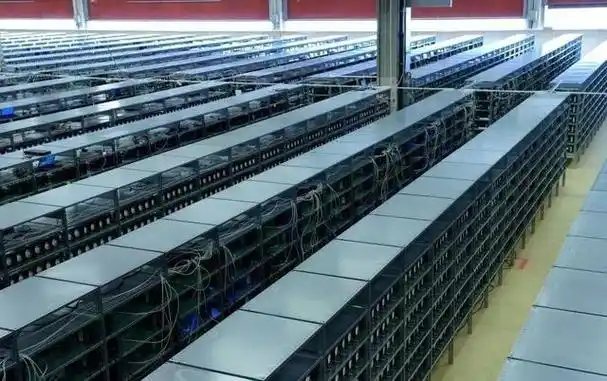 High-performance mining rig operating seamlessly under hosting services